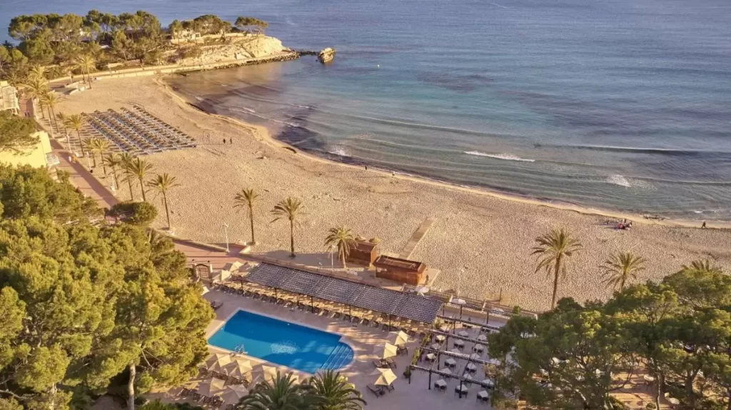 Vista aérea de playa y piscina con tumbonas, palmeras y mar tranquilo en Mallorca al atardecer